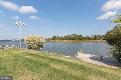 Welcome to Your Eastern Shore Waterfront Paradise! Nestled along - photo 44