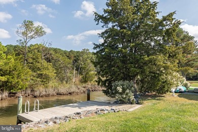 Welcome to Your Eastern Shore Waterfront Paradise! Nestled along - photo 47