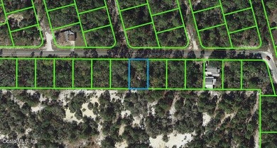 Lake Grassy Lot For Sale in Lake Placid Florida