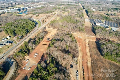 Prime Development Opportunity on 7.92 acres off of Langtree Road - photo 2
