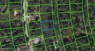 Lake Grassy Lot For Sale in Lake Placid Florida