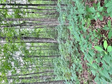 (private lake, pond, creek) Acreage For Sale in Wilder Tennessee