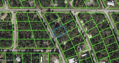 Lake Grassy Lot For Sale in Lake Placid Florida