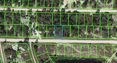 Lake Grassy Lot For Sale in Lake Placid Florida
