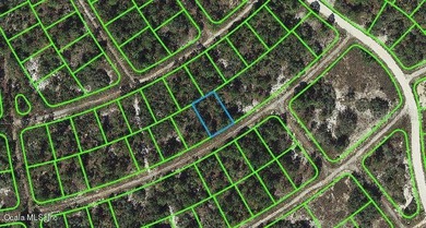 Lake Grassy Lot For Sale in Lake Placid Florida