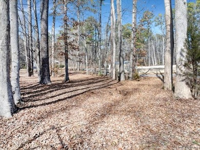Rare opportunity: two adjoining lots sold together-one - photo 3