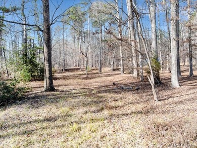 Rare opportunity: two adjoining lots sold together-one - photo 4