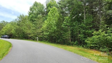 Build your Lake James dream home on the 2.53-acre lot with boat - photo 11