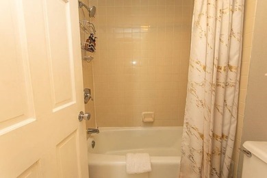 This one-bedroom condo comes fully furnished. It is perfect as a - photo 13