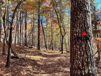 Build your Lake James dream home on the 2.53-acre lot with boat - photo 13