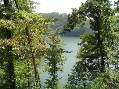 Lake Lot For Sale in Bryson City, North Carolina
