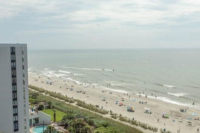 This one-bedroom condo comes fully furnished. It is perfect as a - photo 25