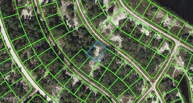 Lake Grassy Lot For Sale in Lake Placid Florida