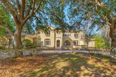 Lake Home For Sale in Odessa, Florida
