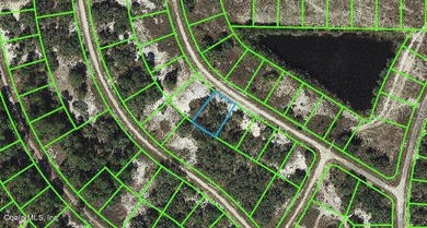 Lake Grassy Lot For Sale in Lake Placid Florida