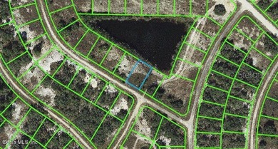 Lake Grassy Lot For Sale in Lake Placid Florida