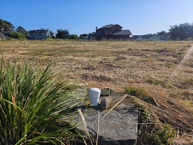 2 Lots. Build your dream home, a compound or ??? Seller reserves - photo 6