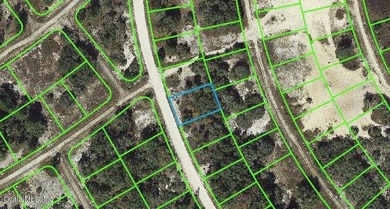 Lake Grassy Lot For Sale in Lake Placid Florida