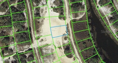 Lake Grassy Lot For Sale in Lake Placid Florida
