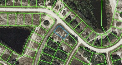 Lake Grassy Lot For Sale in Lake Placid Florida