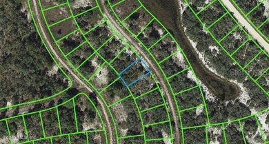 Lake Grassy Lot For Sale in Lake Placid Florida
