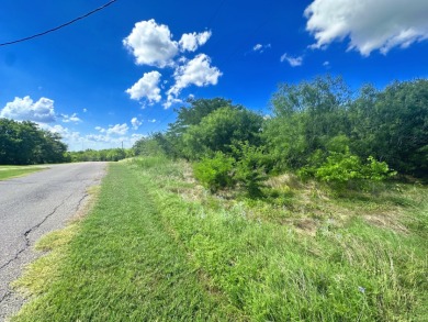 Two Lots at Richland Chambers Lake combine for 4.4 acres! - photo 8