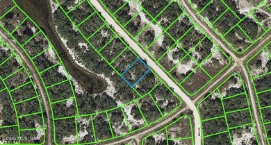 Lake Grassy Lot For Sale in Lake Placid Florida