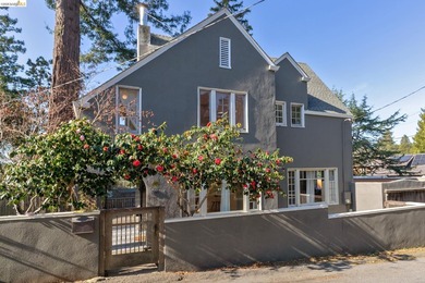 Enjoy dramatic sunsets from this special Berkeley Hills home - photo 1