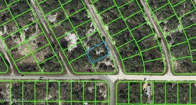 Lake Grassy Lot For Sale in Lake Placid Florida