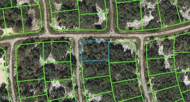 Lake Grassy Lot For Sale in Lake Placid Florida