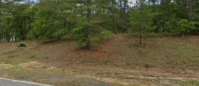 Lake Lot For Sale in Wagram, North Carolina