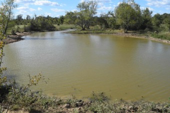 (private lake, pond, creek) Acreage Sale Pending in Alba Texas