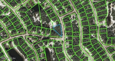 Lake Grassy Lot For Sale in Lake Placid Florida
