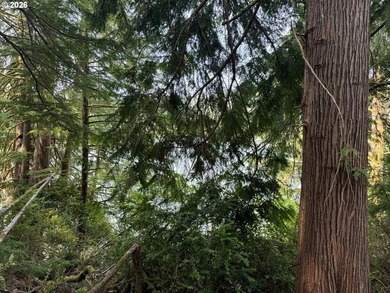 15.1 +/- ACRE LOT AVAILABLE ON DEVORE ARM WITH TENMILE LAKE - photo 2