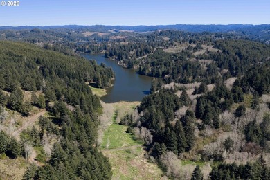 15.1 +/- ACRE LOT AVAILABLE ON DEVORE ARM WITH TENMILE LAKE - photo 8