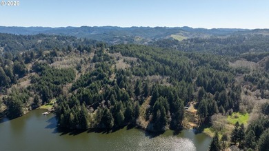 15.1 +/- ACRE LOT AVAILABLE ON DEVORE ARM WITH TENMILE LAKE - photo 10