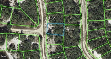 Lake Grassy Lot For Sale in Lake Placid Florida