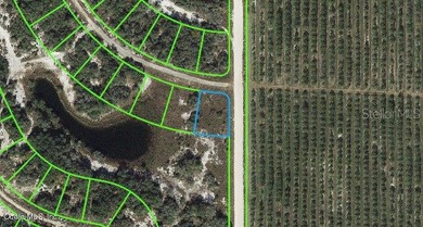 Lake Grassy Lot For Sale in Lake Placid Florida