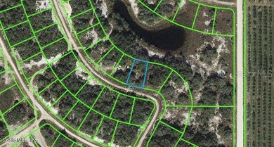 Lake Grassy Lot For Sale in Lake Placid Florida