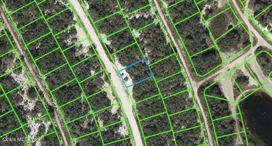 Lake Grassy Lot For Sale in Lake Placid Florida
