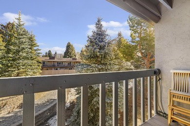 Rare opportunity to own a Condo Complex. 2 Buildings with 8 - photo 17