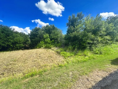Two Lots at Richland Chambers Lake combine for 4.4 acres! - photo 6