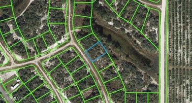 Lake Grassy Lot For Sale in Lake Placid Florida