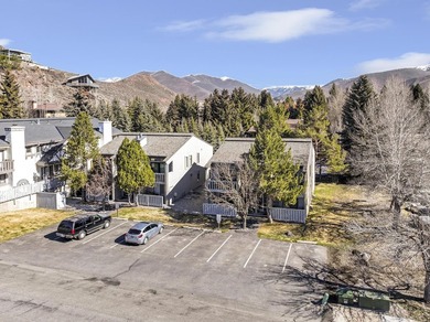 Rare opportunity to own a Condo Complex. 2 Buildings with 8 - photo 28