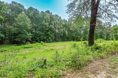Lake Life Starts Here! Welcome to your Lake Sam Rayburn getaway! - photo 30