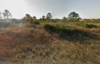Lehigh Acres Area Lot For Sale in Lehigh Acres Florida