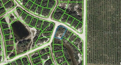 Lake Grassy Lot For Sale in Lake Placid Florida