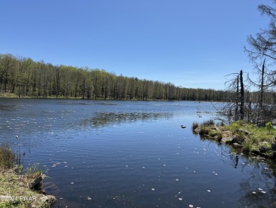 (private lake, pond, creek) Acreage For Sale in Equinunk Pennsylvania