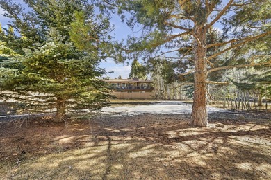 Rare opportunity to own a Condo Complex. 2 Buildings with 8 - photo 36