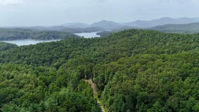 Lake Hiwassee Acreage For Sale in Murphy North Carolina